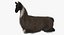 Llama