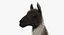 Llama