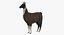 Llama