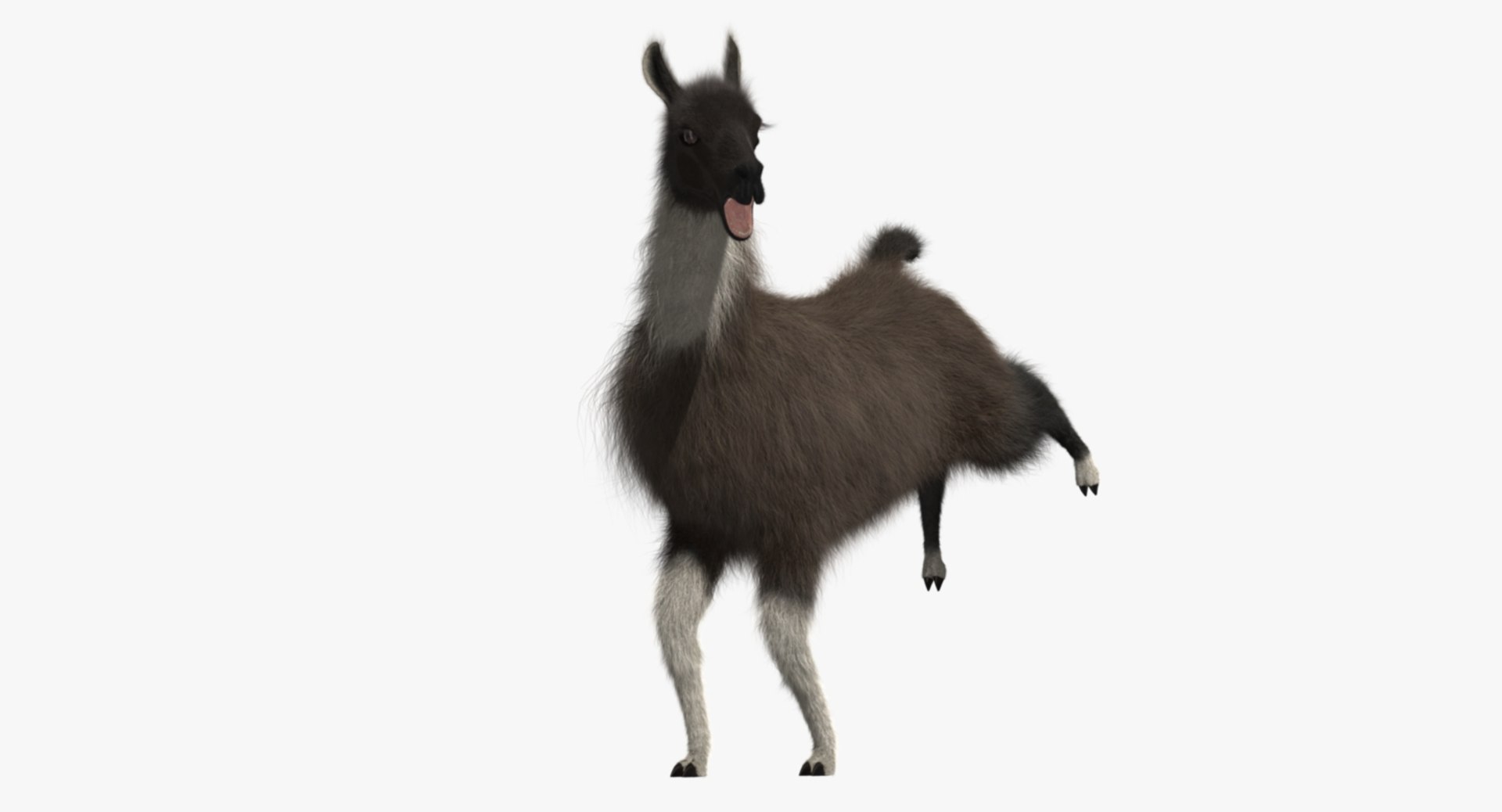 llama shave haircut 3d obj https://p.turbosquid.com/ts-thumb/ab/9FLmYN/eEce3Skj/rp06/jpg/1469095255/1920x1080/fit_q87/77afdba6682f3d2662af5177e9e996276eed15f7/rp06.jpg