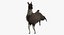 Llama