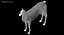 Llama
