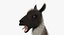 Llama