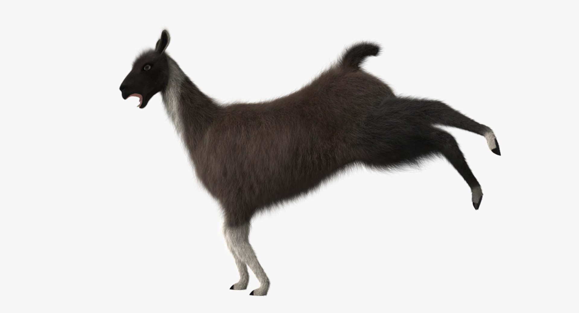llama shave haircut 3d obj https://p.turbosquid.com/ts-thumb/ab/9FLmYN/udTtYKGY/rp05/jpg/1469095255/1920x1080/fit_q87/ece942dd0a34420a7d2d72a506f16475e48ba75a/rp05.jpg