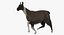 Llama