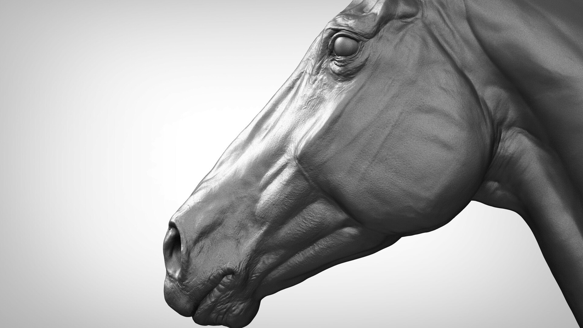 Horse Textured  VFX MUSCLE SIMULATION model https://p.turbosquid.com/ts-thumb/ab/PpinRO/3d/a_models8.jpg047bf1d0e25c456ba5342a1d3535c443zoom/jpg/1624991140/1920x1080/fit_q87/0d0faa51b5e6df5a38d10bbc340bc1e929d384d7/a_models8.jpg047bf1d0e25c456ba5342a1d3535c443zoom.jpg