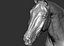 Horse Textured  VFX MUSCLE SIMULATION