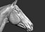 Horse Textured  VFX MUSCLE SIMULATION