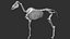 Horse Textured  VFX MUSCLE SIMULATION