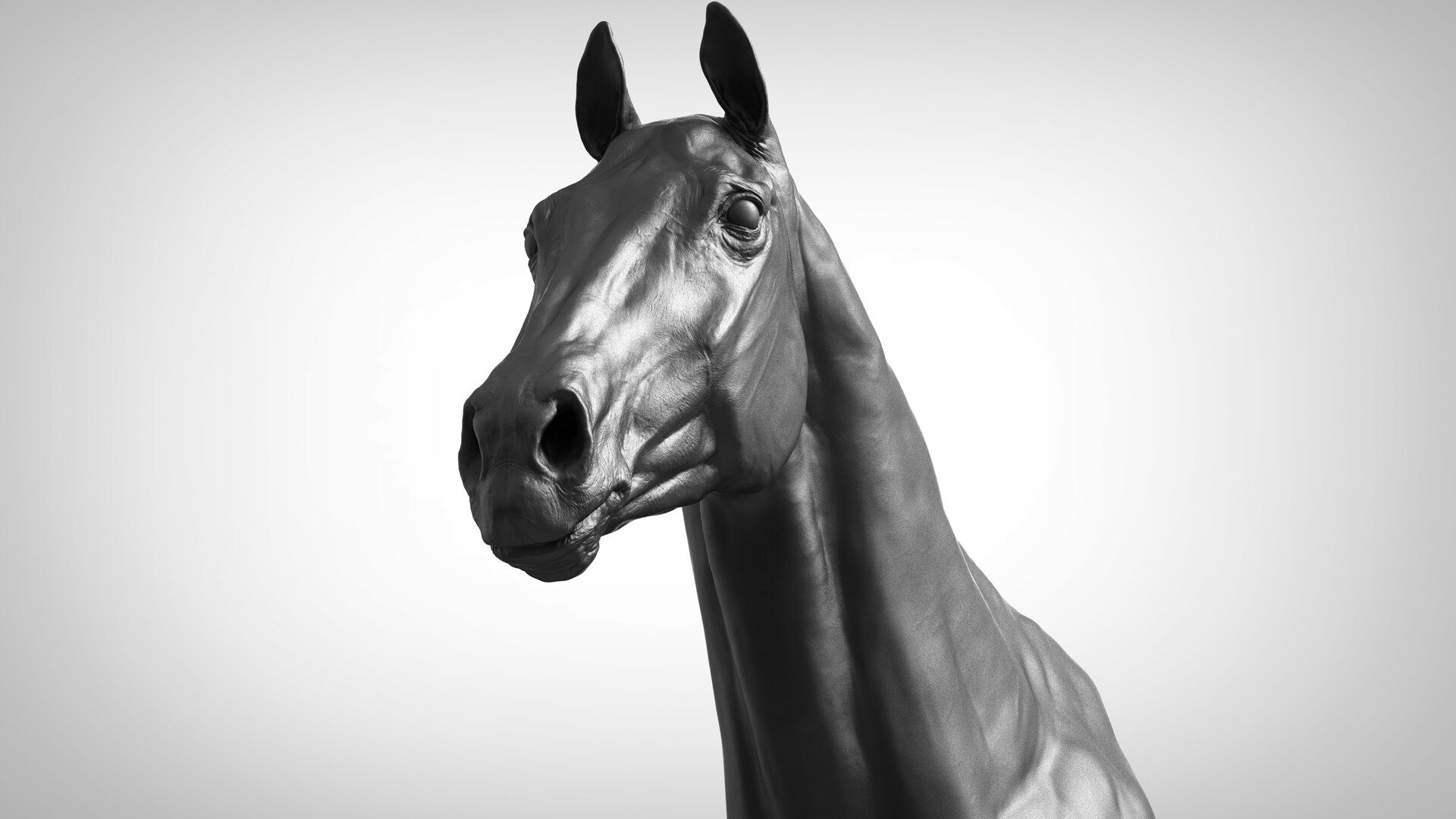 Horse Textured  VFX MUSCLE SIMULATION model https://p.turbosquid.com/ts-thumb/ab/PpinRO/Hj/a_models11.jpgc1d7cb0eb72f440397fff87922eceaf7zoom/jpg/1624991141/1920x1080/fit_q87/85e169cec83e7a52fa024afa2c2a074b2d33839c/a_models11.jpgc1d7cb0eb72f440397fff87922eceaf7zoom.jpg
