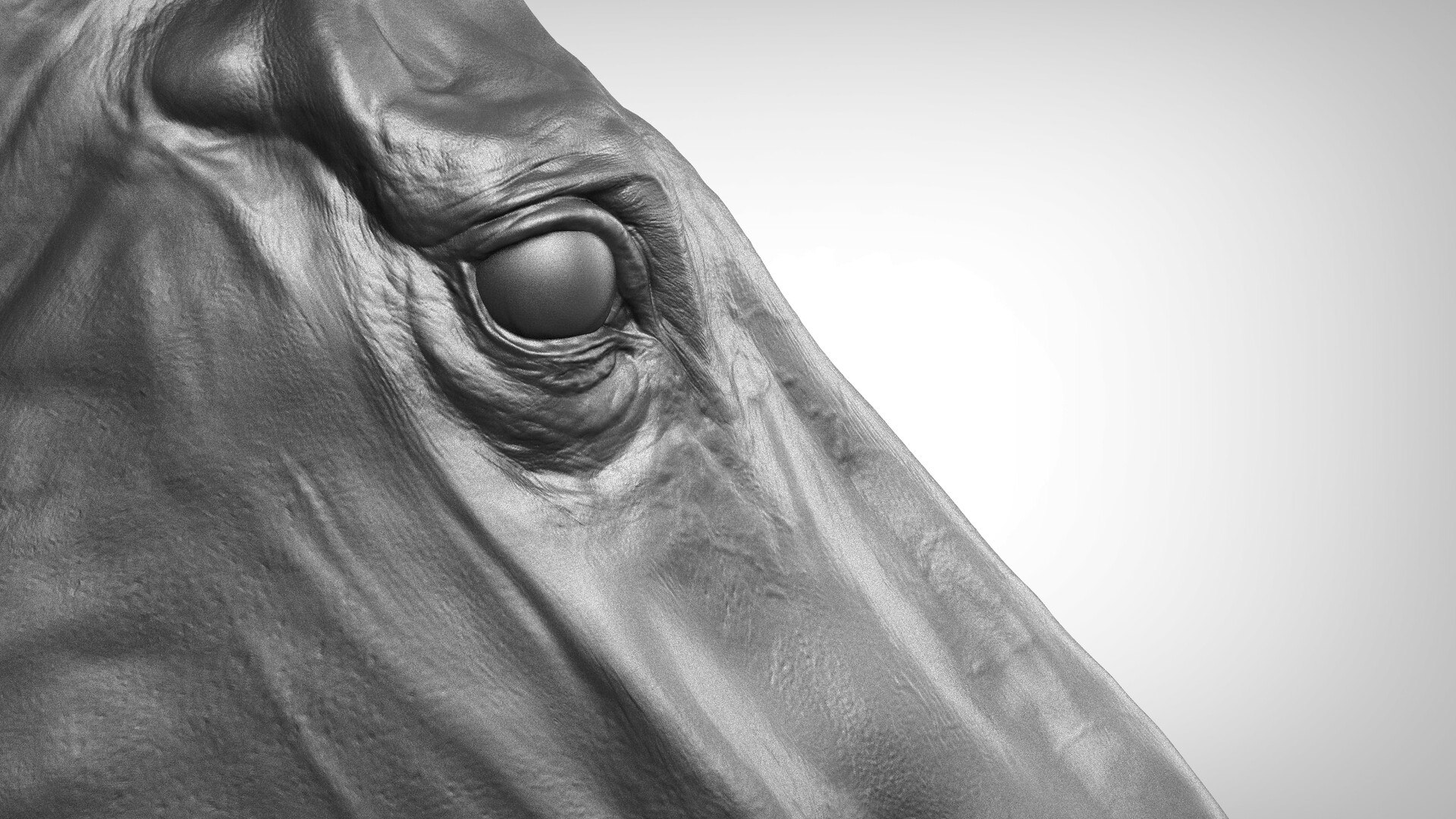 Horse Textured  VFX MUSCLE SIMULATION model https://p.turbosquid.com/ts-thumb/ab/PpinRO/Qv/a_models2.jpgaf6684510d8744ca85552506ebc3f2d9zoom/jpg/1624991139/1920x1080/fit_q87/c949f46564eebdcde6fed8fb24f9b875ad412f49/a_models2.jpgaf6684510d8744ca85552506ebc3f2d9zoom.jpg