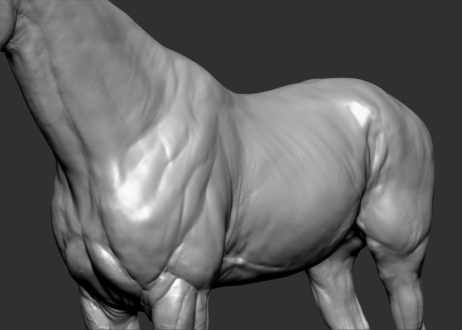 Horse Textured  VFX MUSCLE SIMULATION model https://p.turbosquid.com/ts-thumb/ab/PpinRO/R5/18.jpgea093c84aff449698b82fc27f1f39bfdzoom/jpg/1624991163/1920x1080/fit_q87/b8952cabd999b86414b8d33326e095406bed0b8f/18.jpgea093c84aff449698b82fc27f1f39bfdzoom.jpg