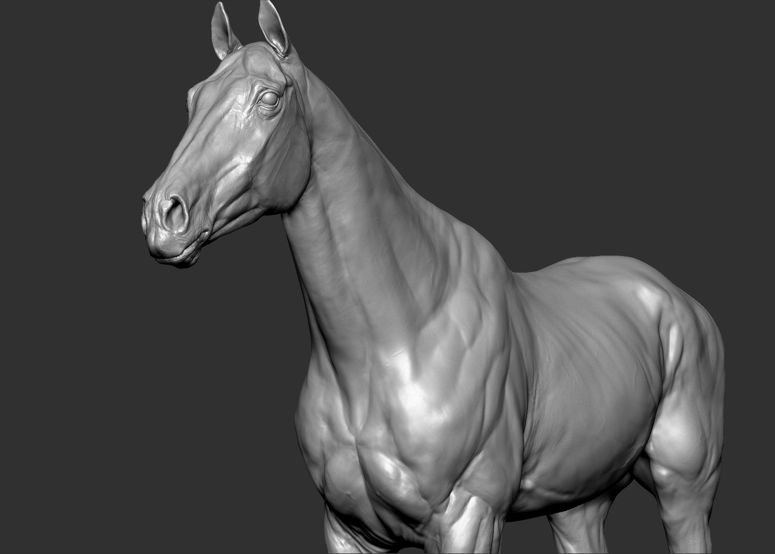 Horse Textured  VFX MUSCLE SIMULATION model https://p.turbosquid.com/ts-thumb/ab/PpinRO/RI/8.jpg728cb5be30184578bcdd1ff9e922dff5zoom/jpg/1624991162/1920x1080/fit_q87/69b3639e15333a2d9a843b6a19f538b28e6ca9bb/8.jpg728cb5be30184578bcdd1ff9e922dff5zoom.jpg
