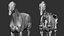 Horse Textured  VFX MUSCLE SIMULATION