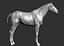 Horse Textured  VFX MUSCLE SIMULATION