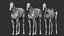 Horse Textured  VFX MUSCLE SIMULATION