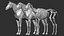 Horse Textured  VFX MUSCLE SIMULATION