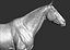 Horse Textured  VFX MUSCLE SIMULATION