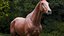 Horse Textured  VFX MUSCLE SIMULATION