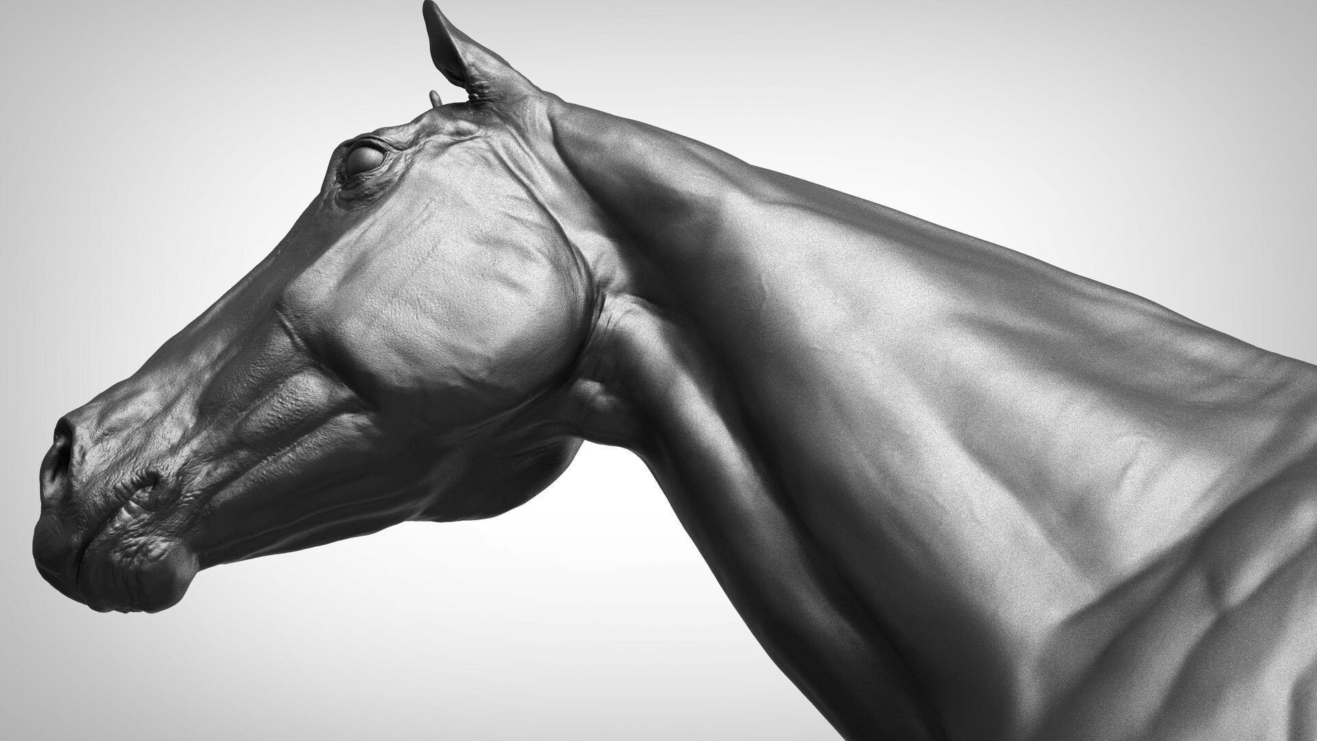 Horse Textured  VFX MUSCLE SIMULATION model https://p.turbosquid.com/ts-thumb/ab/PpinRO/u6/a_models4.jpg006dfb80915c4fa4bc120db2fd4a174dzoom/jpg/1624991140/1920x1080/fit_q87/d86de4b2184407e9e5dc1f14871af6e0a8752f0d/a_models4.jpg006dfb80915c4fa4bc120db2fd4a174dzoom.jpg