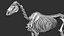 Horse Textured  VFX MUSCLE SIMULATION