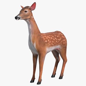 Animated Lowpoly Baby Deer