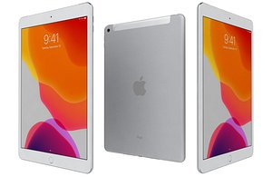 Apple iPad 8 10 2 2020 WiFi and Cellular Silver Low poly 3D model