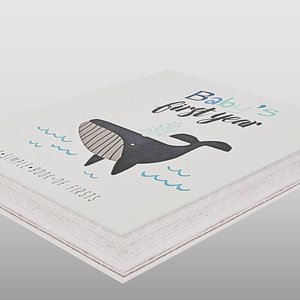 Whale Illustrated Book