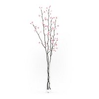 Flowering Tree Twigs in Glass Vase