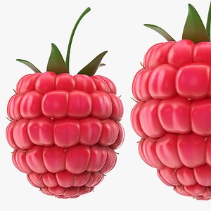 3D Fresh Red Raspberry model
