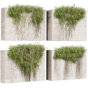 3D Collection plant vol 757 Corona 7 max 2015 model