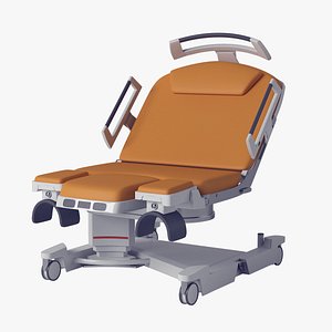 birth chair model