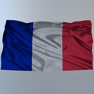 3D french flag model