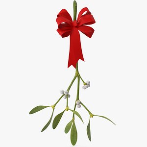3D Mistletoe 2 with Red Bow