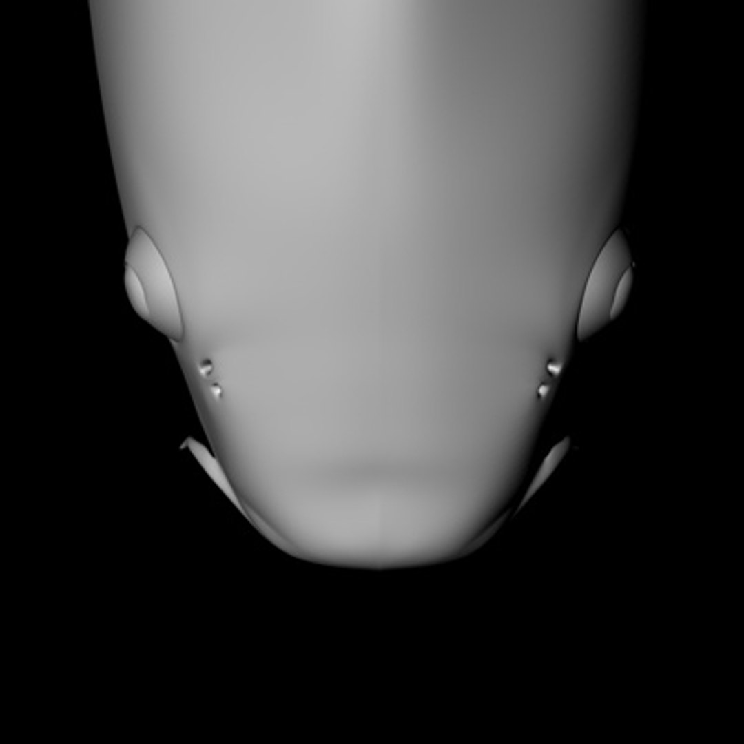 Koi Fish C4d