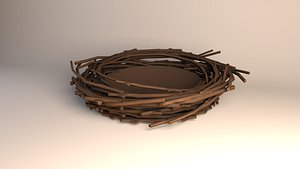 3D birds nest model