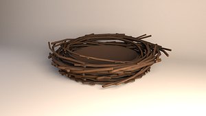 Bird Nest