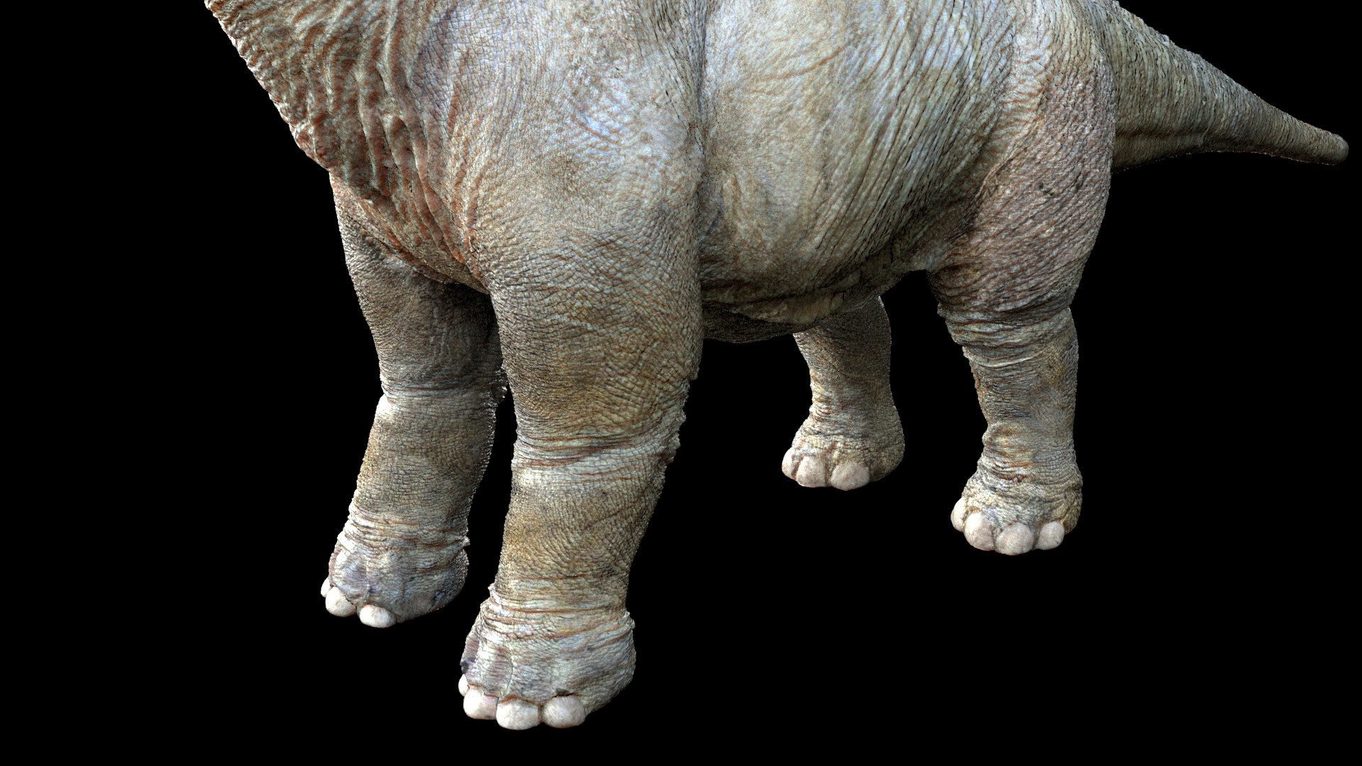 3D brachiosaurusBaby 3D model https://p.turbosquid.com/ts-thumb/ac/Xm1Uh3/1H/09/jpg/1761041396/1920x1080/fit_q87/c166a94e96c0c43b2c658aa9f11ab5c956b48770/09.jpg