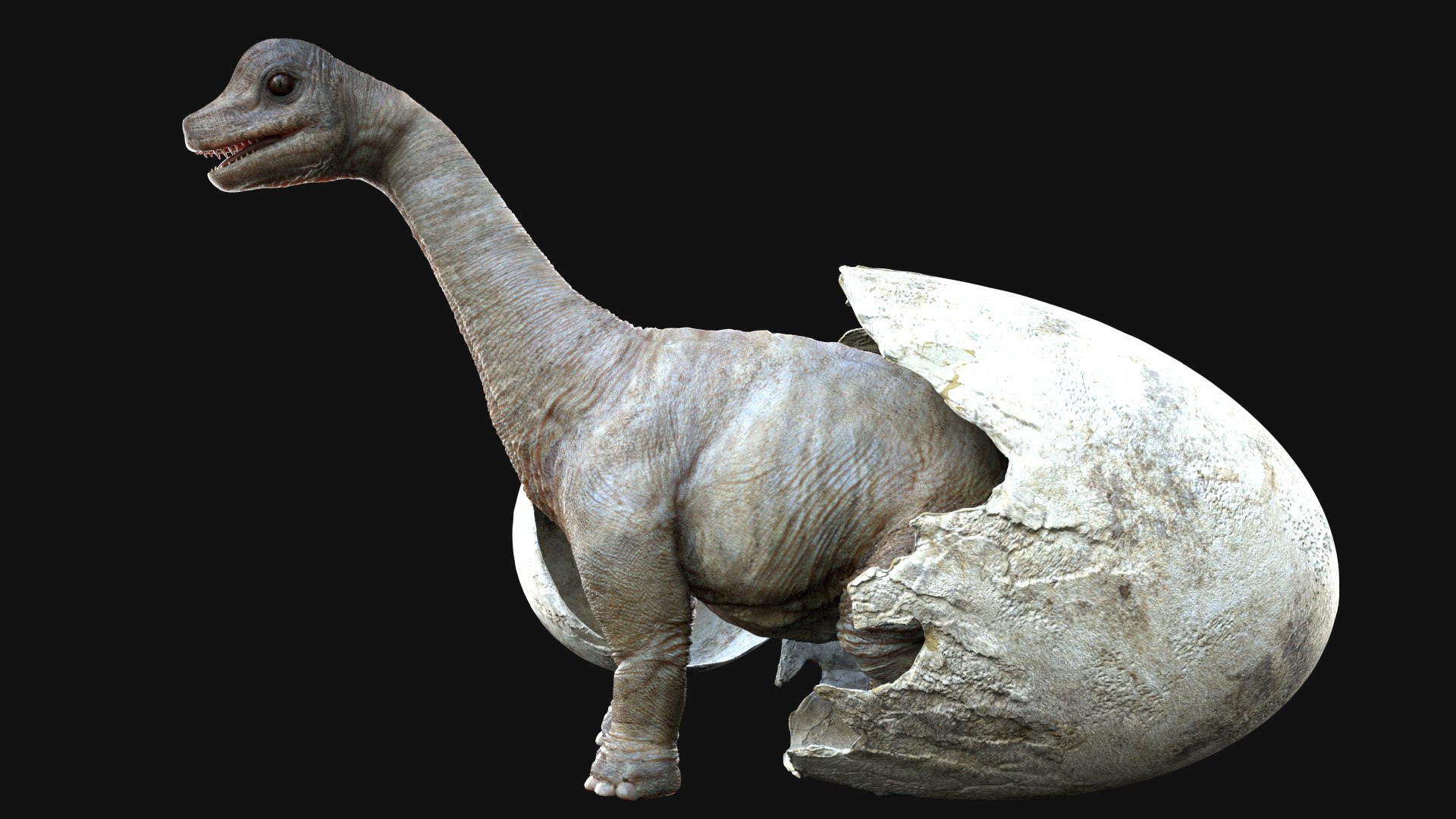 3D brachiosaurusBaby 3D model https://p.turbosquid.com/ts-thumb/ac/Xm1Uh3/1M/04/jpg/1761041390/1920x1080/fit_q87/2aa9b88954b72425702bbff9341be0bb4caef4de/04.jpg
