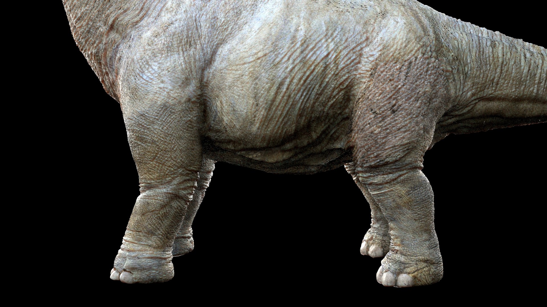 3D brachiosaurusBaby 3D model https://p.turbosquid.com/ts-thumb/ac/Xm1Uh3/91/10/jpg/1761041397/1920x1080/fit_q87/054ed3aa8b7f35c392ad0f44174d5fb13724bf88/10.jpg