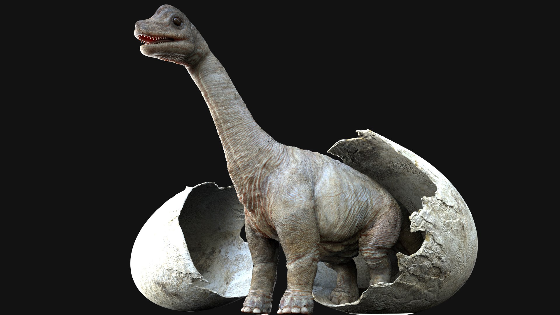 3D brachiosaurusBaby 3D model https://p.turbosquid.com/ts-thumb/ac/Xm1Uh3/Ef/05/jpg/1761041391/1920x1080/fit_q87/af46fe6b8a898071580d58740d935f981370b07d/05.jpg
