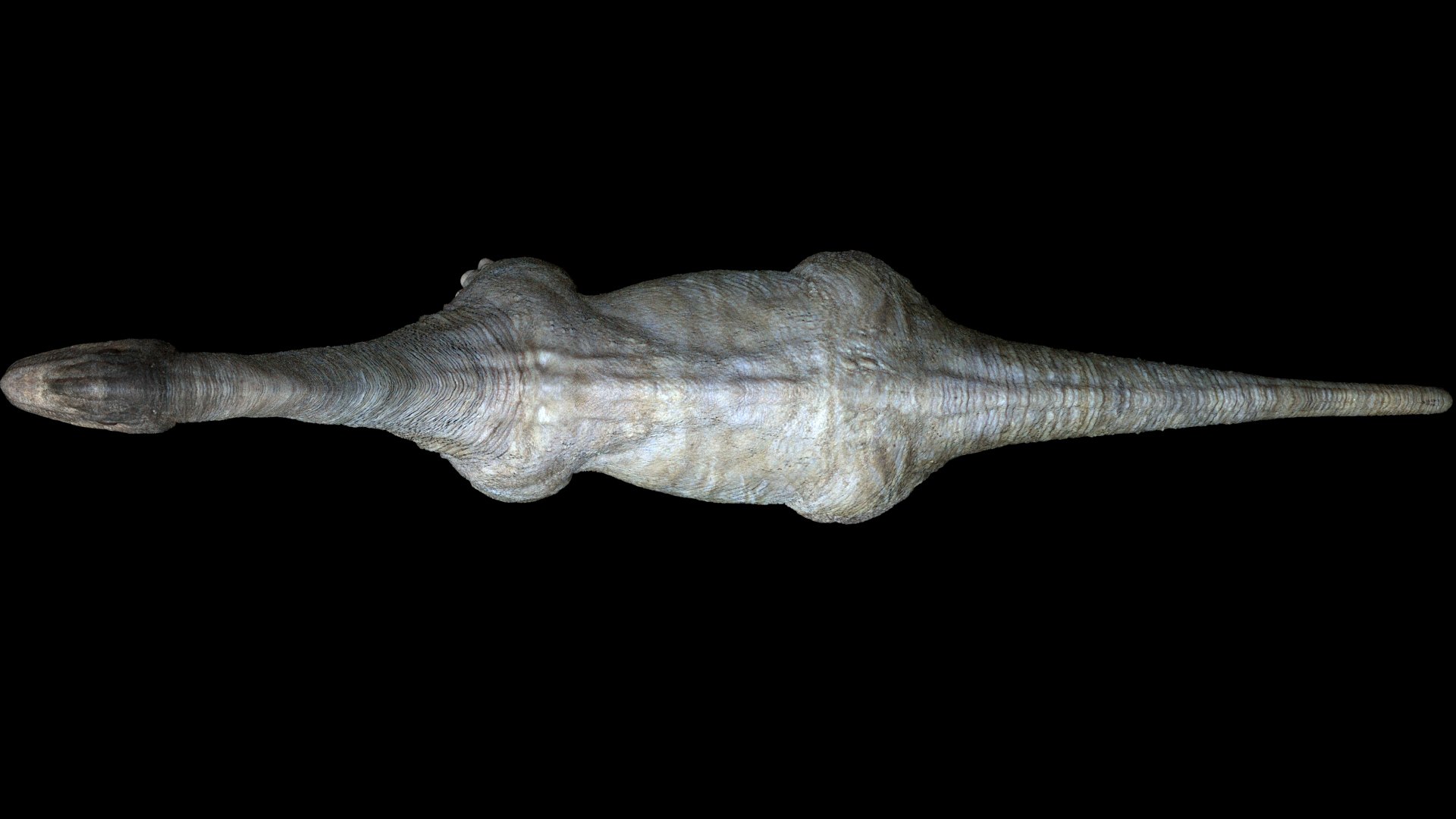 3D brachiosaurusBaby 3D model https://p.turbosquid.com/ts-thumb/ac/Xm1Uh3/FX/11/jpg/1761041399/1920x1080/fit_q87/4b158cba462b55725068c1f3f6b94404db379f72/11.jpg