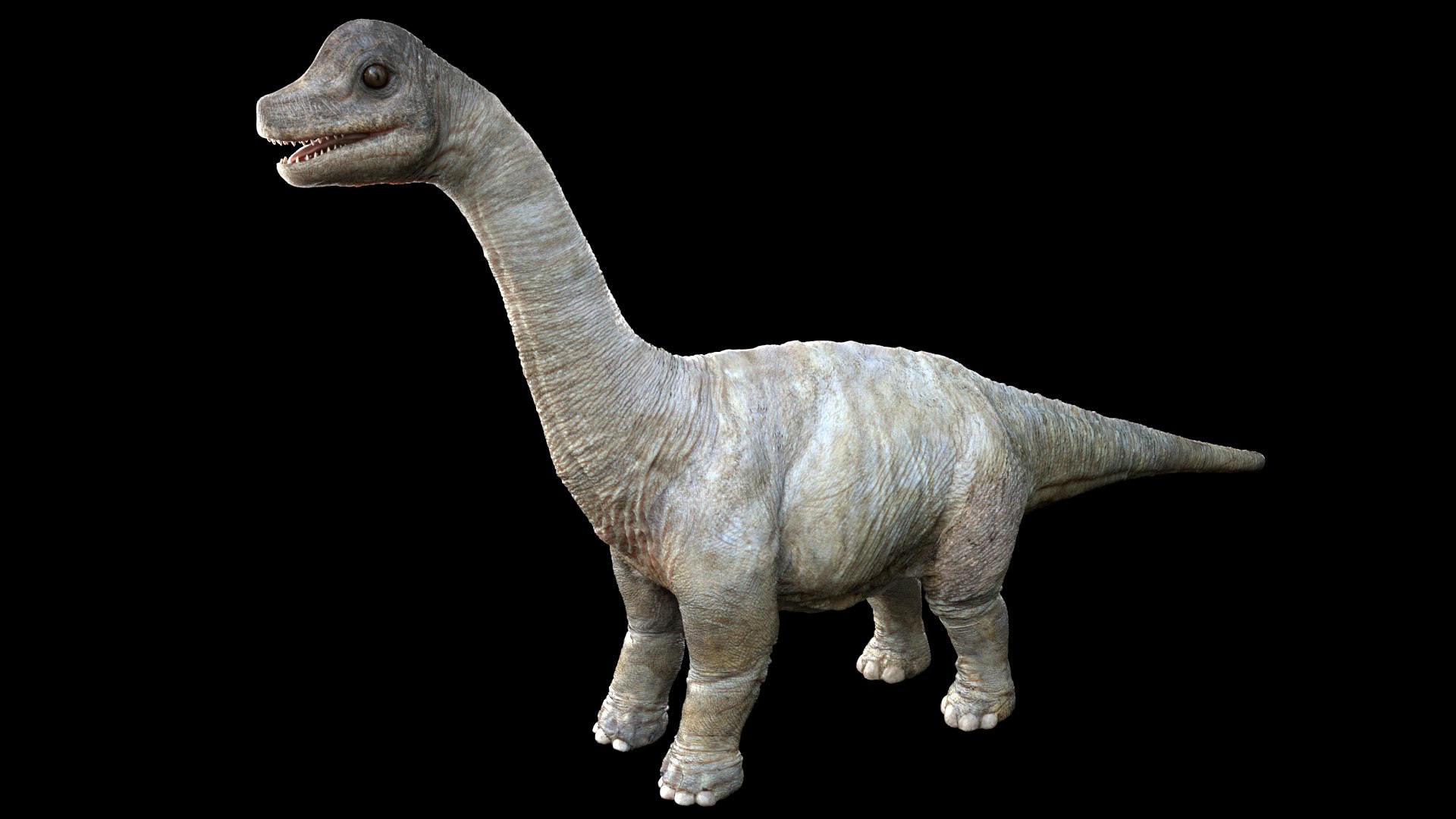 3D brachiosaurusBaby 3D model https://p.turbosquid.com/ts-thumb/ac/Xm1Uh3/Q1/07/jpg/1761041393/1920x1080/fit_q87/f020e5263104bd97a4705c5ee021d6c7b307df70/07.jpg