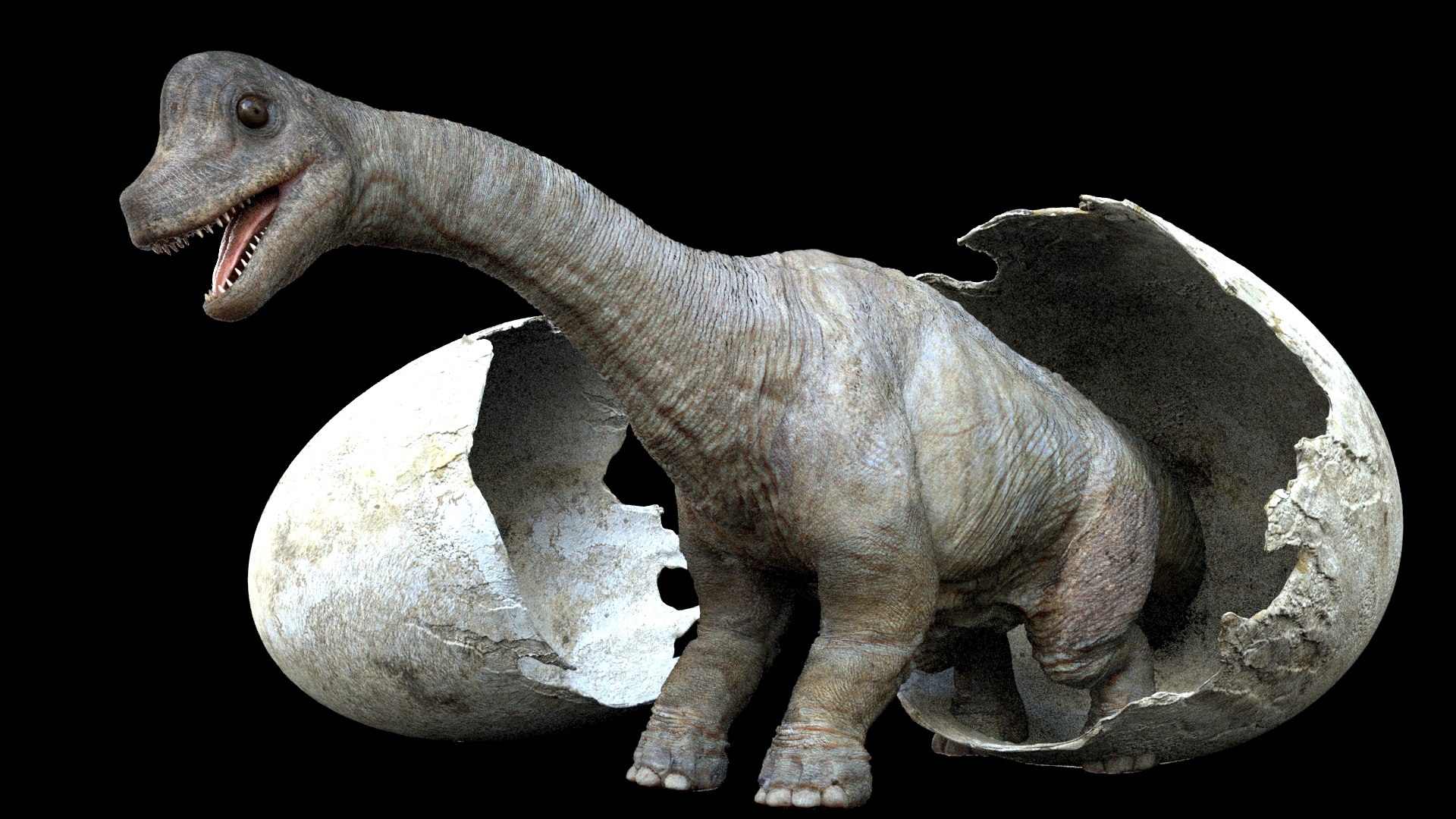 3D brachiosaurusBaby 3D model https://p.turbosquid.com/ts-thumb/ac/Xm1Uh3/gJ/06/jpg/1761041392/1920x1080/fit_q87/32e69b2d95dee89abd6e61aea047e5691c0e1a32/06.jpg
