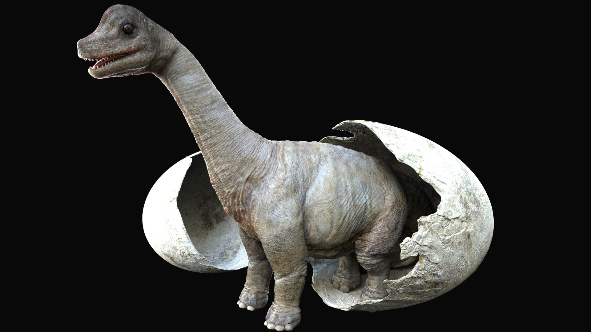 3D brachiosaurusBaby 3D model https://p.turbosquid.com/ts-thumb/ac/Xm1Uh3/hO/02/jpg/1761041387/1920x1080/fit_q87/33df88f09c684b17b08f5941897ed99df90e351a/02.jpg