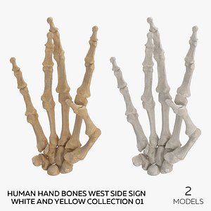 Human Hand Bones West Side Sign White and Yellow Collection 01 - 2 models 3D