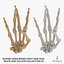 Human Hand Bones West Side Sign White and Yellow Collection 01 - 2 models 3D