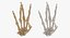 Human Hand Bones West Side Sign White and Yellow Collection 01 - 2 models 3D