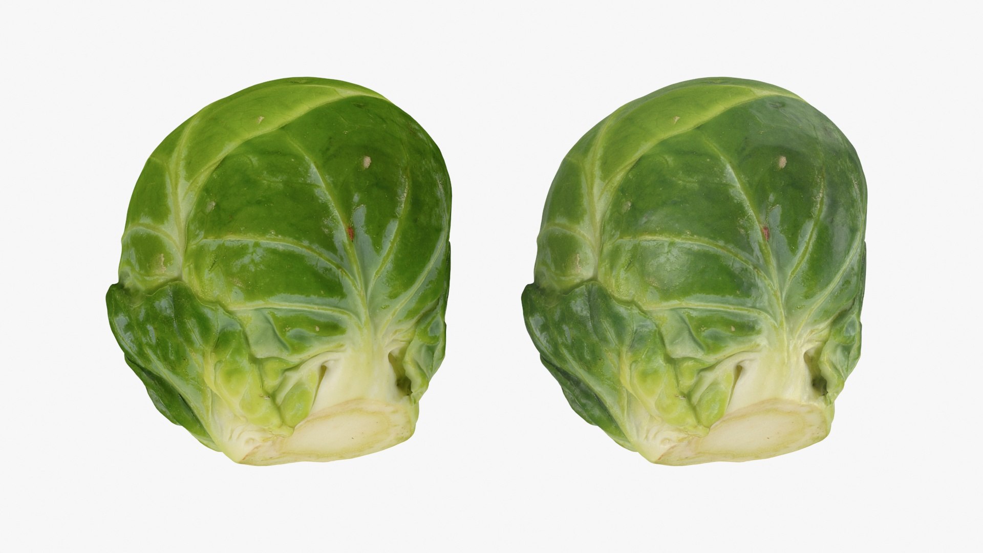 3D Brussels Sprout 05 model https://p.turbosquid.com/ts-thumb/ac/pLvPBb/Yq/brusselssprout05_a0003/jpg/1734597890/1920x1080/fit_q87/6c43849331210e9f91f71bc379be0c7f47a8f432/brusselssprout05_a0003.jpg