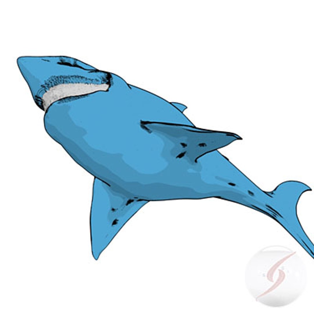 tiburon bruce max https://p.turbosquid.com/ts-thumb/ac/s0FL0j/UZs6KHnz/thu_01/jpg/1225791093/1920x1080/fit_q87/8ac7bde9fad8fd289be6304c1d83b6988cf05ff1/thu_01.jpg
